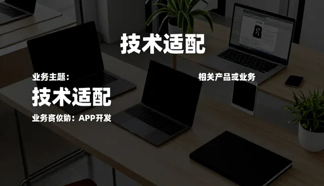 接口配置在域名优化系统集成中的关键作用